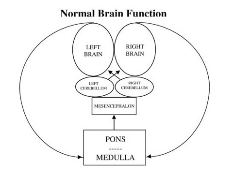 normal